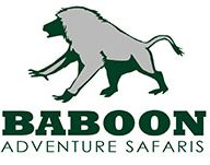 Baboon  Adventure safaris